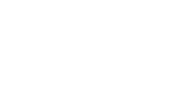 Paradise Logo